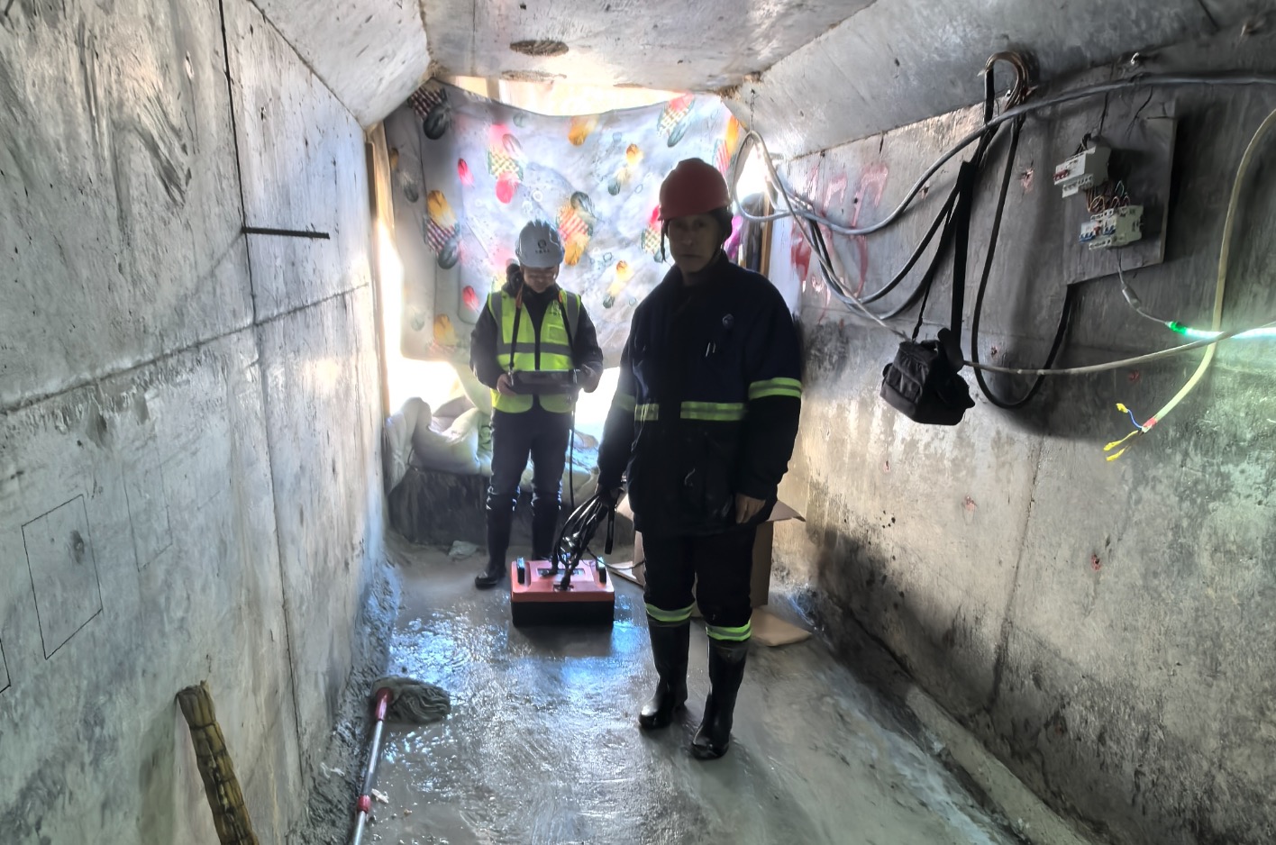 1737450905747.jpg 1737450905747.jpg